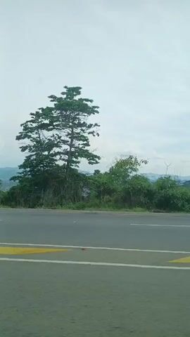The video depicts a roadside scene from a moving vehicle. The road is grey and asphalt, with yellow painted markings. Along the side of the road are green trees and foliage, growing on the crest of a hill or small mountain. In the background, there are more mountains visible. The sky is overcast with white clouds. The overall impression is of a rural or semi-rural area, seen from a vehicle traveling along the road. There are no people visible in the video.