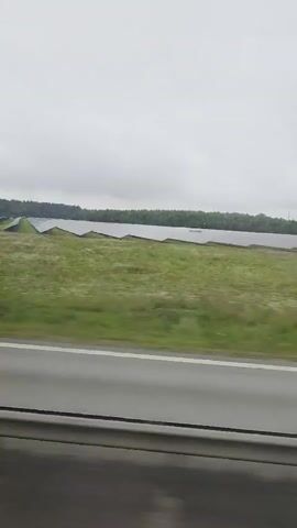 The video shows a slightly blurry, exterior shot from a moving vehicle. The view is of a landscape with a gray, overcast sky. In the foreground, there is a gray road or barrier with white lines. Beyond the road, a large, green field with white flowers stretches towards a body of water. Further in the distance, a line of trees forms a dark green horizon. There are no people or specific actions clearly visible. The overall impression is of a rural or semi-rural scene observed while traveling.