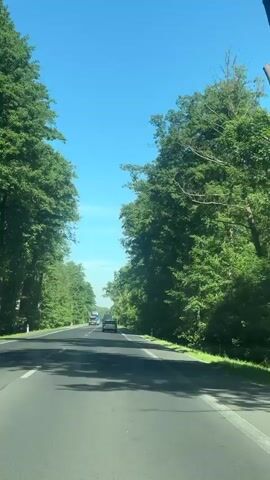 The video shows a view from the perspective of someone in a vehicle traveling on a road. The road is paved and has white lane markings. On either side of the road, there are dense green trees. The sky is clear and blue. Several vehicles are visible on the road ahead, including a blue truck, a white van, and other cars. The sun is shining, casting shadows on the road. The camera appears to be moving forward, giving the impression of a journey through a tree-lined avenue.