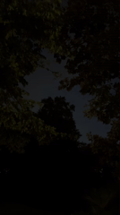 Evening moments captured in Erba: phone browsing, darkening sky