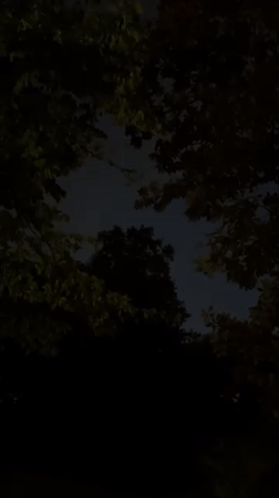 Evening moments captured in Erba: phone browsing, darkening sky