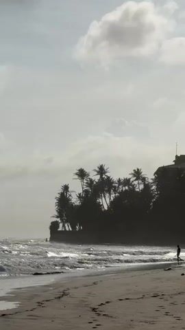 A person walks alone on a sandy beach. Waves crash onto the shore, creating white foam. Lush green palm trees line a cliff in the background, and a building can be seen on top of the cliff. The sky is cloudy and overcast.