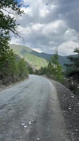The video depicts a gravel road winding through a mountainous landscape. The road is light gray and appears somewhat rough. On either side of the road, there are trees of varying sizes, with the mountains visible in the distance. The sky is overcast with puffy gray clouds, and the overall lighting is subdued. At one point, a wide river comes into view, partially obscured by the trees. The river appears to be flowing rapidly, and its color is a murky light brown.
