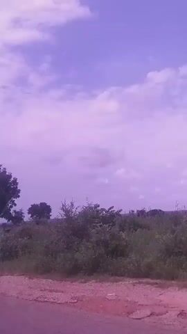 The video shows a roadside view of a landscape with sparse trees and bushes under a cloudy sky. The color saturation is high, giving the sky a purple hue. The camera appears to be moving, possibly from a vehicle, as evidenced by the slight blur and changing perspective of the scenery. In the foreground, a dirt or gravel road is visible. The overall impression is of a rural or semi-arid environment.