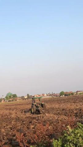A green tractor plows a brown field under a clear blue sky. In the distance, buildings with red roofs and a green-domed building are visible. Some dry plants are in the foreground.