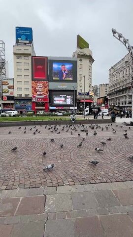 The video shows a cityscape with many pigeons in a square.  A person sits on a bench, surrounded by the birds. Multiple large buildings flank the square, featuring various advertisements on large screens.  The ground is brick paved.  People walk in the background, and cars move along the streets. An obelisk is visible in the distance. The sky is overcast, suggesting a cloudy day.