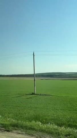 The video shows a view from a moving vehicle, possibly a train or a car, traveling alongside a large, green field. The sky is a clear, bright blue. Power lines run horizontally across the upper part of the frame. The video begins with a close-up of a metal pole painted with black and white stripes at its base. A white truck with the word "TOHAP" on the side passes by. Then the video displays a panoramic view of the green field, the power lines, and the distant tree line. The metal pole reappears. The overall impression is of a rural landscape on a sunny day, observed from a moving vehicle.