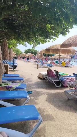 A poolside scene unfolds under a canopy of green leaves, with rows of empty blue lounge chairs in the foreground. Beyond, a sandy area is dotted with more lounge chairs, many occupied by sunbathers, and several straw-thatched umbrellas offer shade. In the background, a swimming pool is filled with people swimming and relaxing. A man in yellow shorts walks towards the pool. The overall impression is a bustling water park on a sunny day.