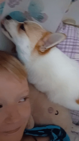 Slow morning at home with a dog, a cat, and a tablet