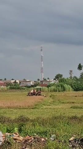 The video opens with a wide shot of a vast field, likely a paddy field, under an overcast sky. In the mid-ground, a red tractor with a few individuals onboard is visible, suggesting agricultural work. Behind the field, a tall, white cellular tower stands prominently. Beyond the tower, scattered buildings and lush green trees are seen. The camera then pans slowly to the right, revealing more of the extensive field. The background shifts to show a cluster of tropical trees, including several tall palm trees, and distant structures, as the tractor and tower move out of the frame. No text is visible in the video. The setting appears to be a rural or semi-rural area in Kutaglumpang, Indonesia.