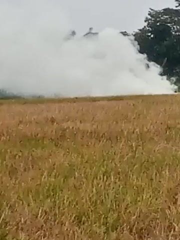 The video shows a wide shot of a field of dry grass, likely a rice paddy, with a large plume of white smoke rising from the right side of the frame and obscuring the background trees. The smoke appears to be moving towards the left and dissipating into the overcast sky. There are no people or specific objects visible within the smoke or the field. The overall scene is agricultural and suggests some form of controlled burning or agricultural activity.