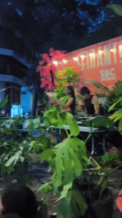 Evening crowd gathers at outdoor Barcelona market event