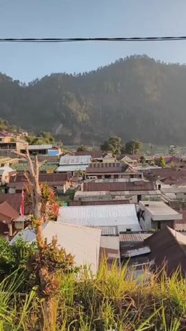 The video pans across a village nestled in a valley with a large mountain in the background. The village consists of many houses with corrugated metal roofs, some of which appear weathered. There are also some trees and lush green vegetation, including what appear to be terraced fields on the mountainside. The sky is clear and a light blue, suggesting it is daytime, possibly morning or late afternoon given the warm lighting. There are no people or animals visible in the frame. The scene is tranquil and appears to be a rural or mountainous region.