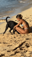 Beach day with dog captured in General Luna