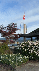 Man films self-video on Port Moody pier after workout