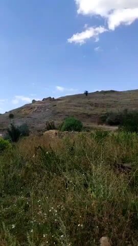 A video captures a rural landscape under a clear blue sky. The foreground is dominated by tall, dry grass and some vegetation. In the middle ground, there are remnants of stone structures and scattered bushes. A barren, sloping hill rises in the background, dotted with sparse vegetation and a few trees. The overall impression is one of an arid, undeveloped area.