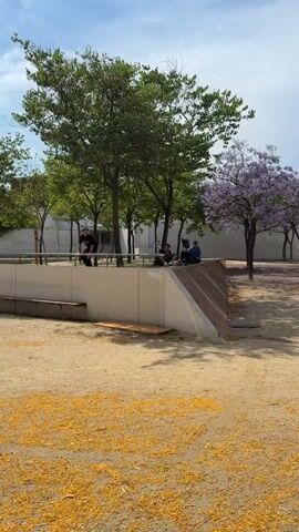 The video shows a person skateboarding in a park. In the foreground, there is a sandy area with yellow petals scattered on it. In the background, there is a concrete structure that appears to be a skate ramp, with people sitting and watching. Several trees are visible, some with green leaves and one with purple flowers. The person on the skateboard is wearing a black t-shirt and black pants and is performing a trick. The video captures the moment the skateboarder grinds on a metal rail on top of the ramp and then jumps off, kicking up dust. The camera follows the skateboarder as they move away from the ramp.