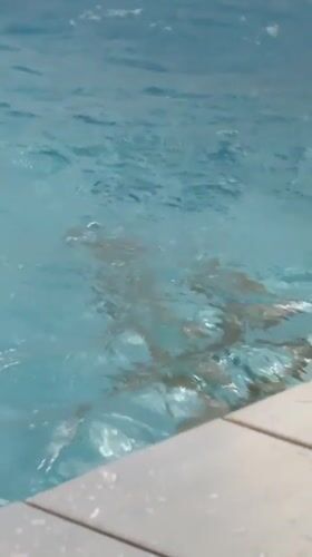 Swimming pool activities documented in Birobidzhan, Russia overnight