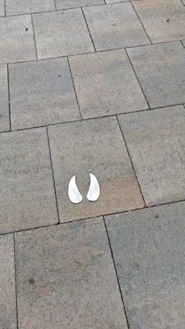 A video shows a person walking on a paved walkway. The walkway is made of large, square stone tiles. There are several white, stylized hoof prints marked on the tiles. The hoof prints are arranged in a staggered pattern, suggesting a path. The video pans down the walkway, showing more of the hoof prints as the person walks. The lighting suggests it is daytime. The environment appears to be outdoors.