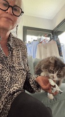 Woman with cat observed in quiet moment in Chambœuf