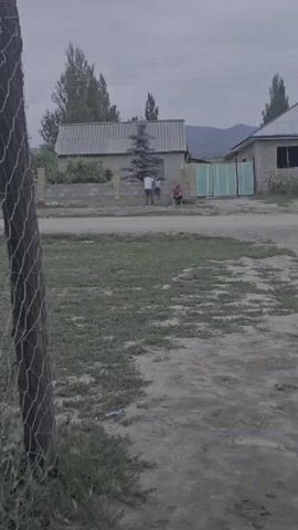 Two people are standing next to a small evergreen tree in front of a house. One person, wearing a light-colored shirt and dark pants, is facing the tree and appears to be interacting with it. The other person, wearing a red shirt and dark pants, is seated and facing away from the tree. A chain-link fence is in the foreground, partially obscuring the view. The scene is outdoors with a cloudy sky and some trees and hills in the background.