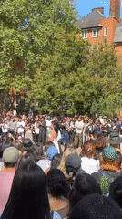 Crowd gathers in London park for demonstration, Great Dane draws attention