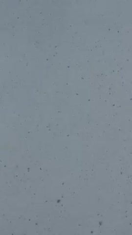 The video shows a light gray sky with small, dark particles falling. The particles are randomly distributed and appear to be drifting downwards. The shot remains static throughout the video.