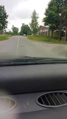 The video shows a view from inside a car looking out through the windshield. The car is moving along a paved road. The road has a white dashed line marking the center. There are trees and houses visible on both sides of the road. The sky is overcast. The dashboard of the car is visible in the foreground, with air vents.