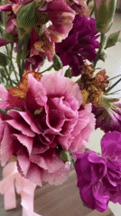 Gourmet appetizers and flower arrangement documented at unknown location