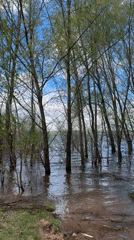 Spring flooding documented in Chaikovsky, Russia with residents present