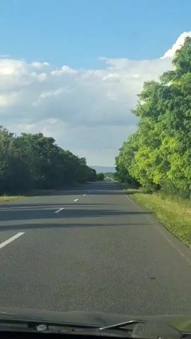 This is a first-person perspective video of a car driving on a paved road. The road has white lane markings. On either side of the road are dense green trees and vegetation. The sky is blue with scattered white clouds. The scene appears to be a sunny day. The camera is positioned looking forward through the windshield, and the dashboard of the car is partially visible at the bottom of the frame. The trees create a tunnel-like effect over the road in some areas. The road appears to be somewhat narrow and may be a rural or country road. The horizon is visible in the distance, with a slight elevation change. There are no other vehicles or people visible in the video. The trees on the right side of the road appear to be slightly closer to the camera and more vibrantly lit by the sun than those on the left.