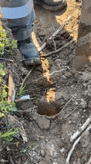 Dawn reforestation work documented in rural Bashkortostan villages