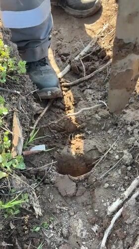 Dawn reforestation work documented in rural Bashkortostan villages
