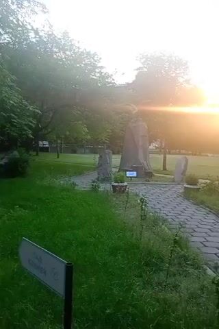 The video pans across a park setting at dusk. The sun is low in the sky, casting a warm, golden light and creating lens flares. Trees line the park's perimeter, with a well-maintained lawn and a paved walkway in the foreground.

Several stone sculptures are scattered throughout the park. One prominent sculpture is a large, abstract form with an eagle-like figure at its apex. Another smaller sculpture, appearing to be a weathered stone, stands to the left of the main sculpture. Two other unidentifiable stone structures are visible further in the background. A small sign with text is placed near the main sculpture.

A signpost with an arrow pointing to the right is visible in the foreground, with the Cyrillic text "САД КАМНЕЙ" (Sad Kamney), which translates to "Stone Garden." This suggests the location is a garden dedicated to stone sculptures or formations. The overall atmosphere is peaceful and serene, enhanced by the soft lighting of the setting sun. The grass is green and lush, indicating favorable weather conditions. No people are visible in the footage. The time of day is clearly indicated by the sunset.