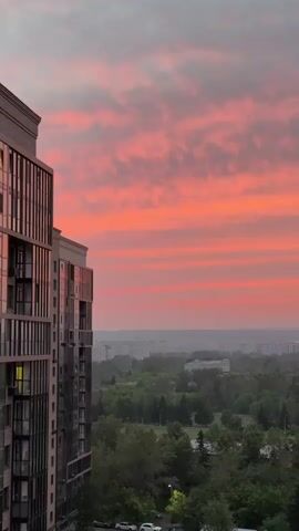 A vertical video shows a sunset with vibrant pink and orange clouds. The foreground features the side of a modern building with a glass facade and balconies. In the middle ground, there is a dense green forest and hints of urban development. The background shows a hazy city skyline under the colorful sky. The lighting suggests it is late evening.