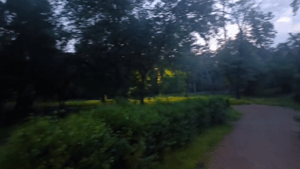 Empty park observed during evening hours, no activity recorded