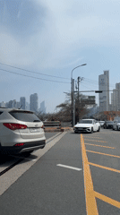 Cherry blossoms frame morning traffic in Busan streets