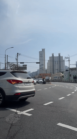 Cherry blossoms frame morning traffic in Busan streets
