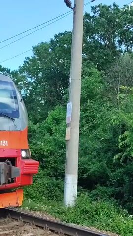 A red and grey train, identified as an ЭП3Д electric multiple unit with the number ЭП3Д-0131 on its front and ЭП3Д-013109 on a side car, moves from right to left across the frame on railway tracks. The front part of the train is predominantly red, transitioning to a grey body with a red stripe. The train has multiple windows and doors visible on its side. In the background, dense green foliage, consisting of trees and bushes, lines the right side of the track. A utility pole is partially visible to the left of the train's path in the initial moments of the video. The lighting suggests it is daytime. No individuals are visible.