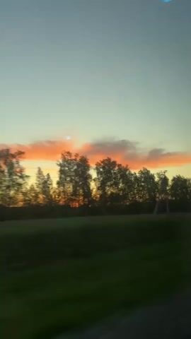 The video, taken from what appears to be a moving vehicle, shows a view of a sunset across a field and trees. The sky is a gradient of colors, with a light blue towards the top transitioning to orange and pink near the horizon. Silhouetted trees line the field's edge, creating a dark contrast against the brightly colored sky. The grass in the field is green. The motion blur suggests the vehicle is moving at a considerable speed. There is a faint reflection on the window.