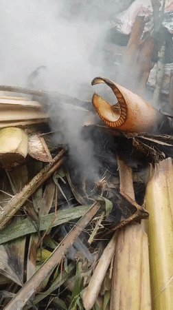 Banana tree debris burning outdoors in Lhokseumawe