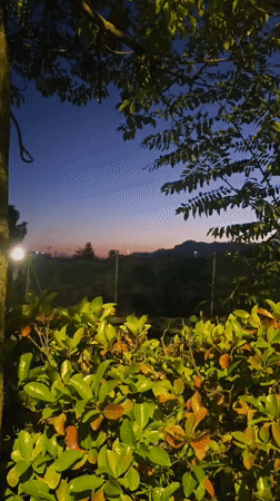 Dusk settling over trees and hills in Salerno