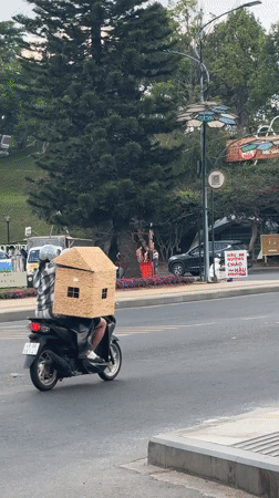Morning street life captured across Da Lat, Vietnam