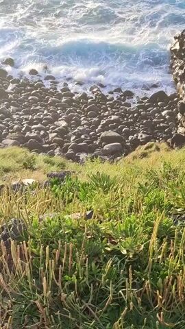 The video captures a high-angle view of a rocky coastline. In the foreground, green grass and low-lying plants grow on a sloped bank. Below this vegetation, a dark pebble beach is visible, made up of numerous rounded stones. Large waves crash against the rocky shore and the dark rock formations on either side, generating white foam. The ocean water is a mix of blues and whites, reflecting sunlight.
