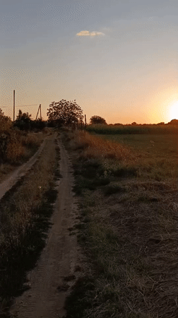 Nezavertaylovka, Moldova