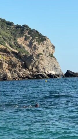 A person is swimming in the ocean near a rocky cliff face. The water is a deep blue and the sky is clear and bright. The person is partially submerged and appears to be swimming towards the shore. The cliff is covered in green vegetation and has visible rock formations. There are some rocks in the water near the cliff.