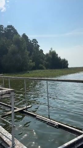 The video shows a perspective from a rickety wooden pier on a lake. The pier is partially submerged in murky green water and appears to be in disrepair, with missing planks and rusty railings. The surrounding environment is lush and green, with trees lining the shore and a bright blue sky with scattered clouds overhead. Sunlight glints off the water's surface, creating a shimmering effect. The camera pans slowly across the scene, offering a view of the pier extending into the water and the natural landscape beyond. There are no people visible in the video, and no actions or interactions are depicted. The overall impression is one of a tranquil, natural setting with a touch of decay.