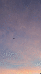 Evening sunset walk documented across Saint Petersburg landmarks
