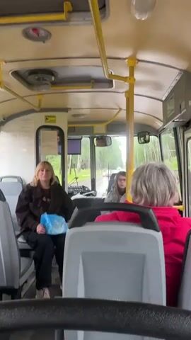 The video shows the interior of a bus, likely in Desnogorsk, Russia. The time of day appears to be daytime, with overcast or cloudy weather, as suggested by the muted natural light filtering through the windows. The bus is in motion, indicated by the slight blur of the passing scenery outside.

There are several passengers visible. In the foreground, the back of a person's head with graying hair is prominent, wearing a bright pink jacket. To their left, a woman with blonde hair and a dark jacket is seated, holding a blue plastic bag. Further forward, a young person with glasses and gray clothing is visible. Another person with pink hair is seen in the background on the right side of the bus. The overall mood seems ordinary, with passengers engaged in their own quiet activities during the bus ride.

The bus itself has typical interior features: yellow grab poles, grey seating, and overhead compartments. The driver's area is visible at the front, with a steering wheel and dashboard. Outside the windows, there are trees and a road, suggesting a rural or suburban setting.

A notable piece of text is visible on a sign on the left side of the bus, above the blonde woman. The text is in Cyrillic and appears to be a warning or informational sign, though it is too blurry to be fully deciphered. Another sign with Cyrillic text is visible above the driver.