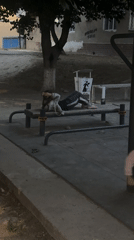 Casual moments in Tashkent: outdoor exercise and pet care